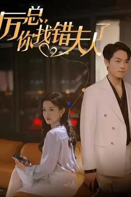 Mr. Li, You Have Found the Wrong Lady dizi afişi