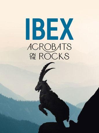 Ibex: Acrobats on the Rocks film afişi