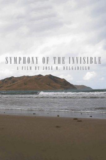 Symphony Of The Invisible film afişi