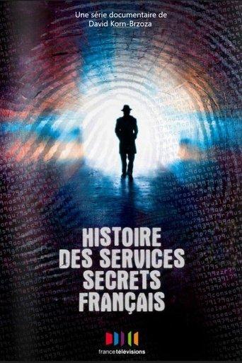 Histoires des services secrets français dizi afişi