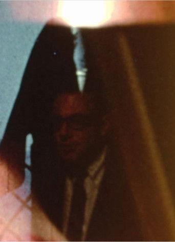 Venus in Furs film afişi