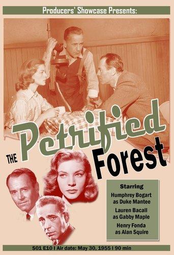 The Petrified Forest film afişi