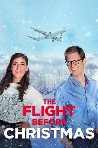 The Flight Before Christmas film afişi