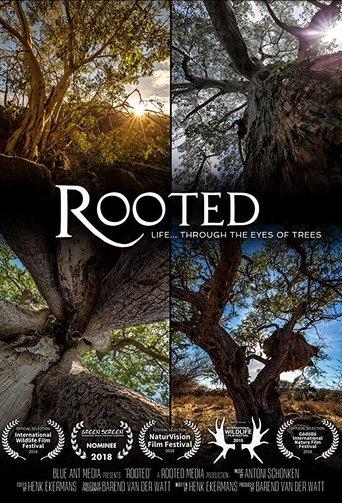 Rooted dizi afişi