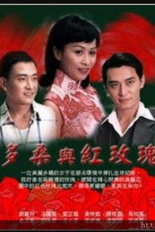 多桑与红玫瑰 dizi afişi
