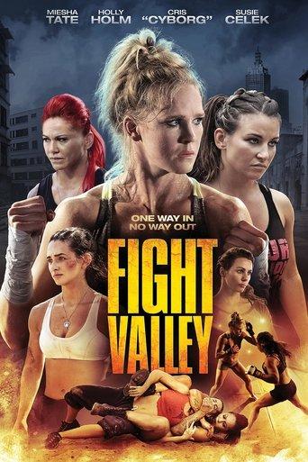 Fight Valley film afişi