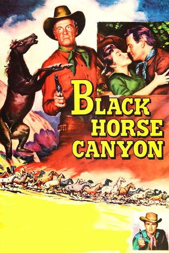Black Horse Canyon film afişi