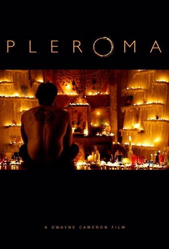 Pleroma film afişi