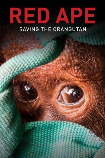 Red Ape: Saving the Orangutan film afişi