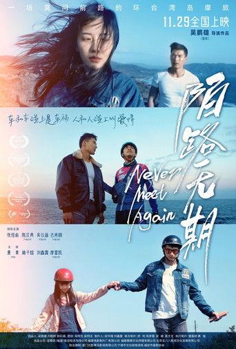 Never Meet Again film afişi
