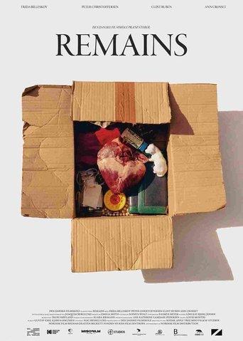 Remains film afişi