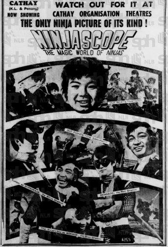 Ninjascope: The Magic World of Ninjas film afişi