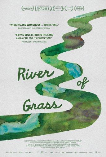 River of Grass film afişi