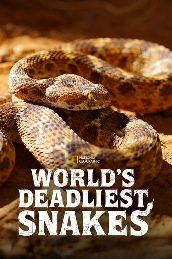 World's Deadliest Snakes dizi afişi