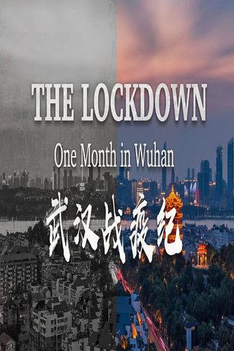 The Lockdown: One Month in Wuhan film afişi