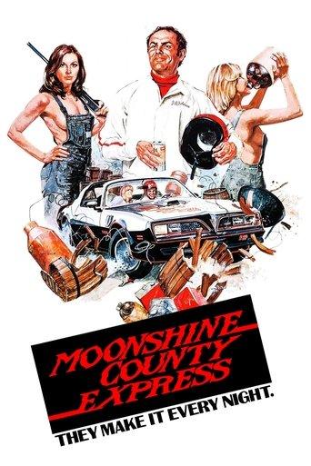 Moonshine County Express film afişi
