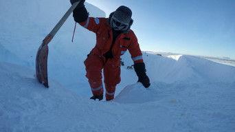 The Dynasties Playlists: Kingdoms, by Phil Taggart