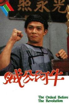 The Ordeal Before The Revolution dizi afişi