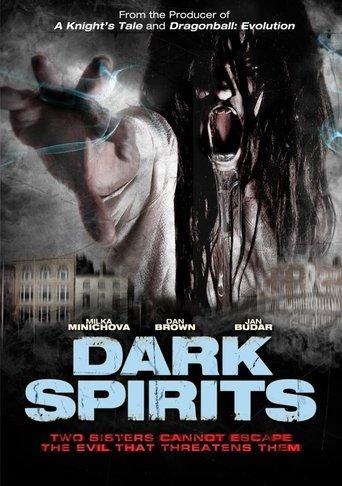 Dark Spirits film afişi