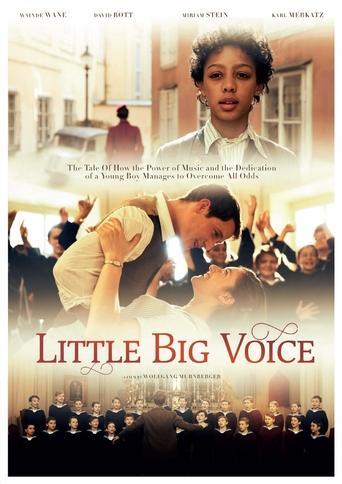 Little Big Voice film afişi