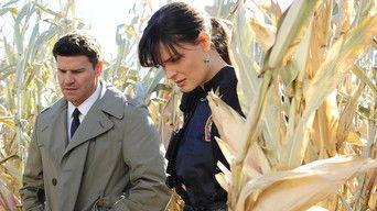 The Sin in the Sisterhood