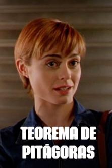 Teorema de Pitágoras film afişi