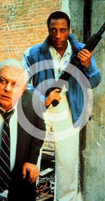 Case Closed film afişi