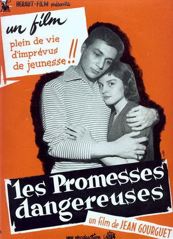 Les promesses dangereuses film afişi