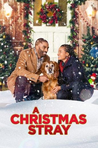 A Christmas Stray film afişi