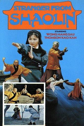 Stranger from Shaolin film afişi