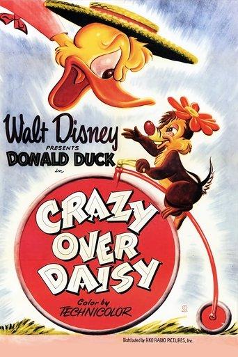 Crazy Over Daisy film afişi