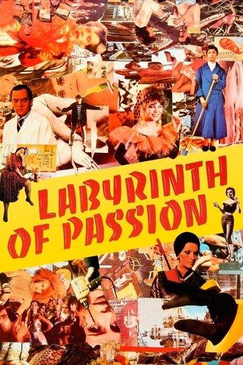 Labyrinth of Passion film afişi