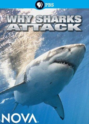 Why Sharks Attack film afişi
