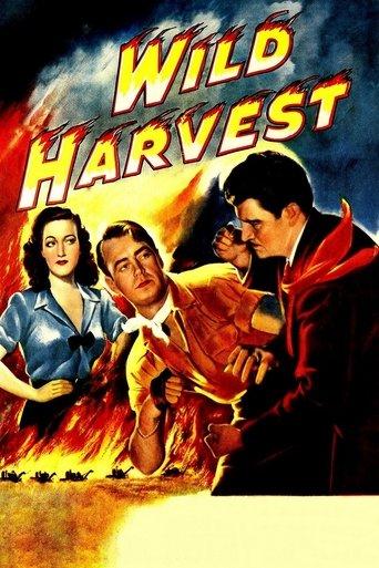 Wild Harvest film afişi