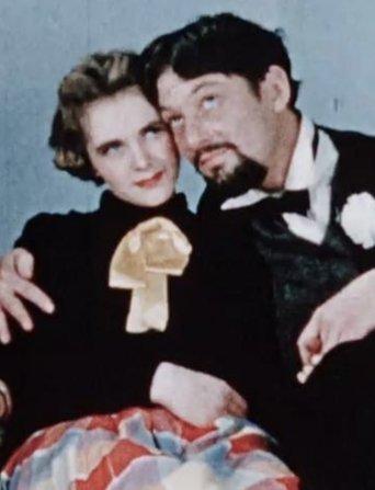 Bride and Groom film afişi