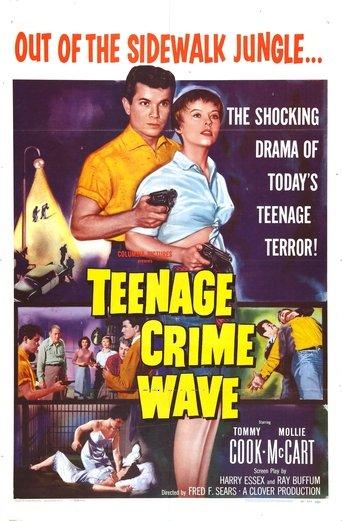 Teen-Age Crime Wave film afişi