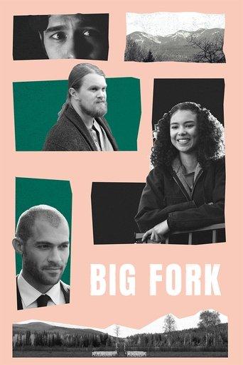 Big Fork film afişi