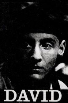 David film afişi