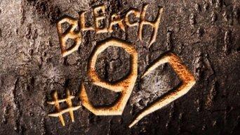 Hitsugaya Strikes! Slice the Enemy in the Middle of the Forest