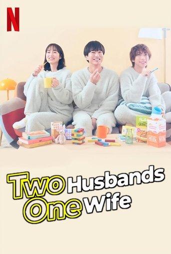 Two Husbands One Wife dizi afişi