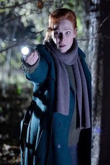 Charlotte Link - Einsame Nacht dizi afişi