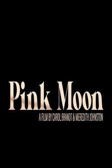 Pink Moon film afişi