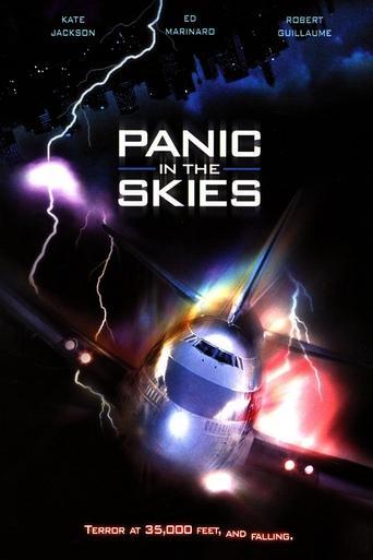 Panic in the Skies film afişi