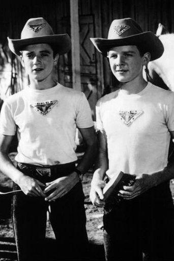 Further Adventures of Spin and Marty dizi afişi