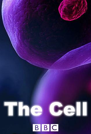 The Cell dizi afişi