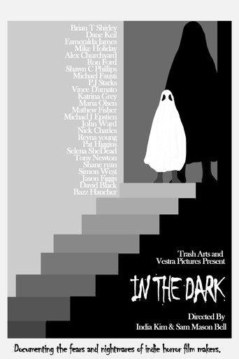 In the Dark film afişi
