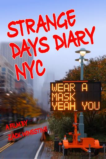 Strange Days Diary NYC film afişi