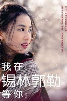 我在锡林郭勒等你 dizi afişi