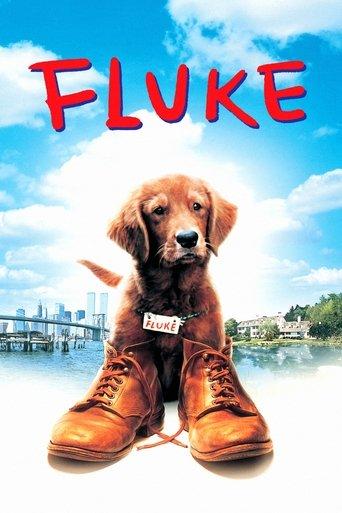 Fluke film afişi