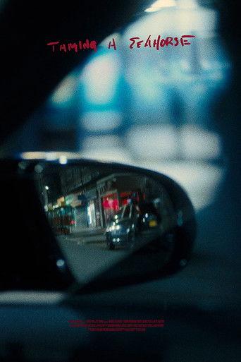 TAMING A SEAHORSE film afişi